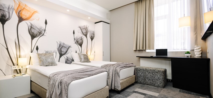 Accessible Twin Room 